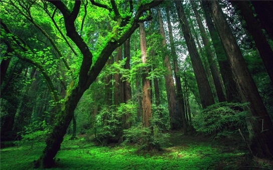 Cân bằng cuộc sống