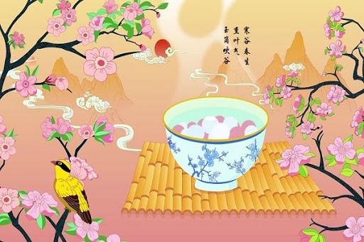 dong-chi-la-gi-phong-tuc-cua-nguoi-hoa-trong-tet-dong-chi