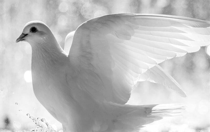 nhung-diem-bao-may-man-va-xui-xeo-ban-can-luu-y-h10