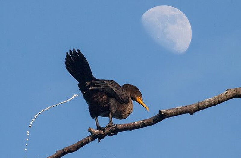 nhung-diem-bao-may-man-va-xui-xeo-ban-can-luu-y-h4