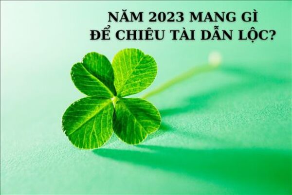 nam-2023-mang-gi-de-thu-hut-tai-loc