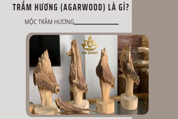 tram-huong-la-gi-xuat-xu-cong-dung-phan-loai-huong-thom-gia-ban