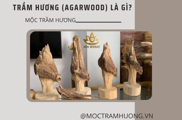 tac-hai-cua-tram-huong-co-the-ban-chua-biet-5