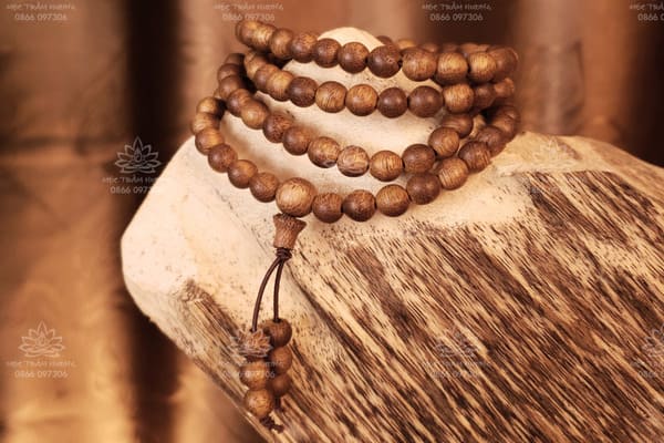 tram-toc-va-tram-sanh-loai-nao-tot-hon-1