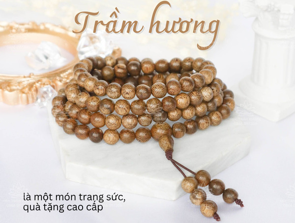 tram-toc-va-tram-sanh-loai-nao-tot-hon-3