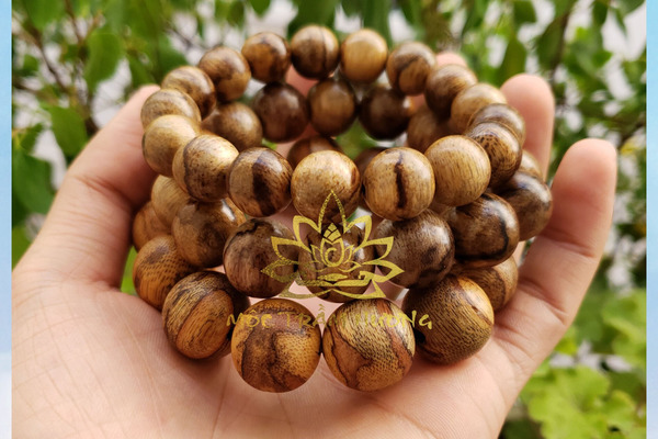 tram-toc-va-tram-sanh-loai-nao-tot-hon-5