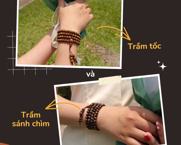 tram-toc-va-tram-sanh-loai-nao-tot-hon