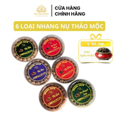 Combo 3 Hộp Nhang Nụ Thảo Mộc Tự Nhiên Trầm, Quế, Bắc, Bài, Khuynh Diệp (Tặng Lư Sứ)