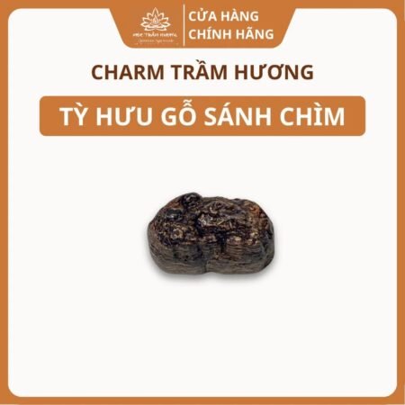 Charm Tỳ Hưu Sánh Chìm Mộc Trầm Hương MTH Trầm Hương Chính Hãng